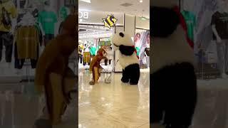 funny bug prank to cute panda     #shorts #trending #viral #youtubeshorts #funny #shortvideo