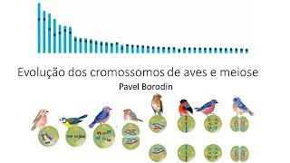 Pavel Borodin "Avian chromosome evolution and meiosis"