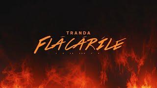 Tranda - Flacarile (Official Audio)