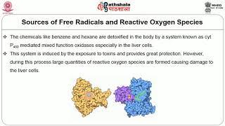 Antioxidant enzymes  in preventing  the formation of free radicals