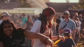 Public Water Supply - Easy Street -  Live @ Borderland Festival 2023