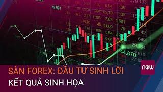 Lật tẩy thủ đoạn lừa đảo của các sàn Forex:  Đầu tư sinh lời, kết quả sinh họa