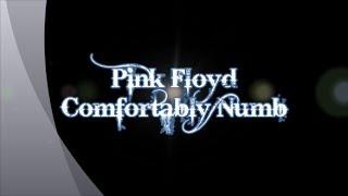 Pink Floyd-Comfortably Numb (with lyrics)