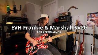 EVH Frankie & Marshall Plexi SV20