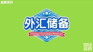 【金融百科】106. 外汇储备 (Foreign Exchange Reserve)