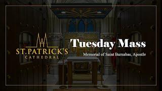 Tuesday Mass - June 11th 2024