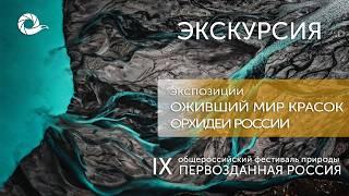 Экскурсия по IX Фестивалю. Оживший мир красок/ Орхидеи России