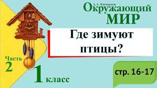 Где зимуют птицы? Окружающий мир. 1 класс, 2 часть. Учебник А. Плешаков стр. 16-17