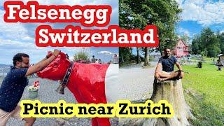 Felsenegg Switzerland | Picnic near Zurich  | Switzerland one day outing