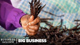 Vanilla Is The 2nd Most Expensive Spice. So Why Do Madagascar's Farmers Live In Poverty?