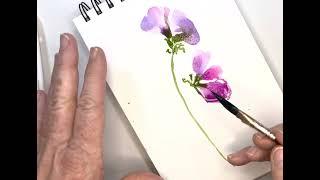 Beginner’s Step-by-Step Guide: Paint Watercolor Florals: Sweet Peas From Outline to Stunning Bouquet