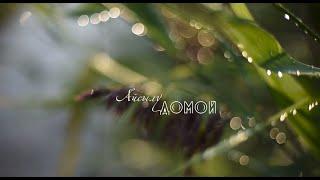 Айсылу - Домой (cоver) / By video Albert Galimullin