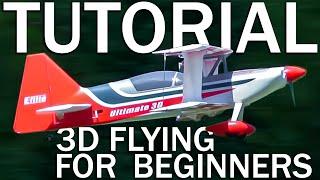 LEARN To FLY Basic 3D Maneuvers