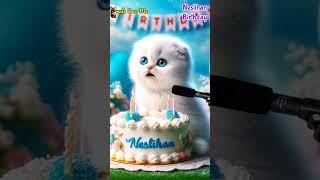 NESLIHAN BIRTHDAY | HAPPY BIRTHDAY SONG WITH NAMES | Adorable Cute Cat  #cat #cute #birthday