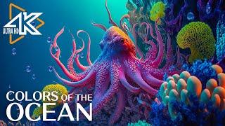 The Ocean 4K - Τα εκπληκτικά πλάσματα της θάλασσας - χαλαρωτική μουσική #3