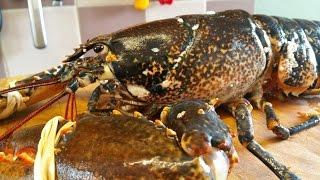 How To Prepare And Cook A Live Lobster 2. TheScottReaProject.