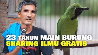 23 tahun MAIN BURUNG !! BAPAK INI SHARING ILMU CUCAK IJO GRATIS