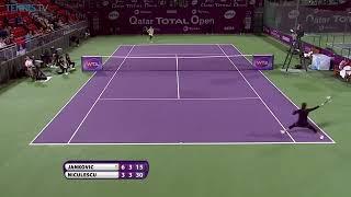 Niculescu forehand slice