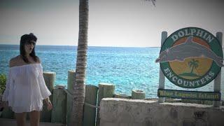 BLUE LAGOON - BAHAMAS