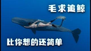 《毛求追鲸：比你想的还简单》Whale Chasing in Mauritius: Easier Than You Think