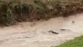 Samarqanda suv toshqini