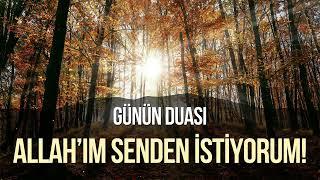 Allah’ım! Senden İstiyorum… Günün Duası