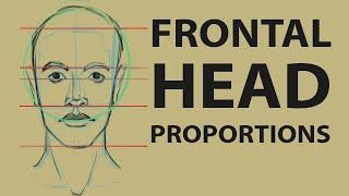 Quick Tips | Frontal Head Proportions