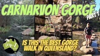 Carnarvon Gorge Part 1 Is this the best gorge walk in Queensland? | we stay at Sandstone Park - Ep47