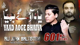 Yaad Aoge Bhaiya | Ali John Baltistani | Shahid Baltistani | Nohay 2022 | Muharram