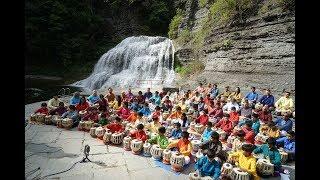 Rhythmic Freefall - the power of rhythm in nature - Taalim School