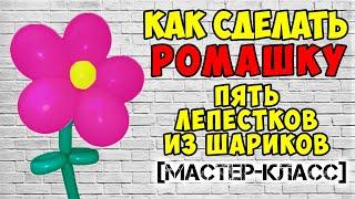 Ромашка из 5 лепестков своими руками. Как сделать ромашку из воздушных шаров