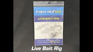 The Fish in OC Live Bait Rig