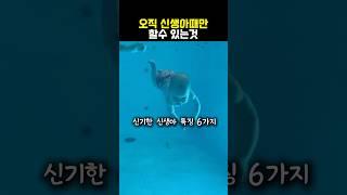 오직 신생아때만 할수있는것 6가지
