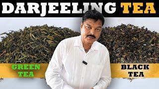 Darjeeling Green & Black Tea: Special Grade Review | दार्जिलिंग टी #teabusiness