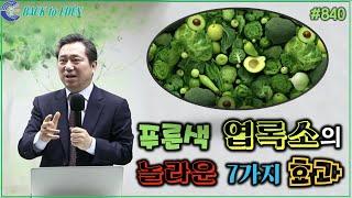 #840. 푸른색 염록소의 놀라운 7가지 효과