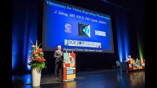 Inaugural Robert Machemer Lecture of the European Society of Ophthalmology