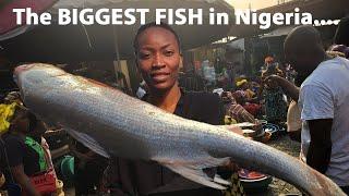 I Saw the Largest Fish at the Biggest Seafood Market in Lagos Nigeria