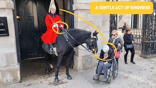 A Gentle Act of Kindness: King's Guard Moves Horse Closer to Special Lady at Horse Guards