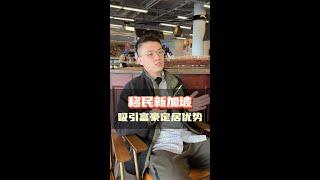 张x磊、沈xx南鹏怎么移民新加坡了？#海外身份规划 #海外移住 #资产配置 #移民 #新加坡