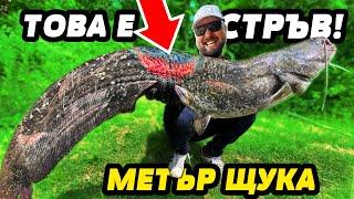 OГРОМЕН СОМ ЯДЕ РИБИ по 100 см!!! Риболов на щука и сом