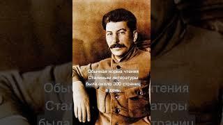 Сталин. Интересные факты о личности диктатора, которые вы не знали #сталин #факты #ссср