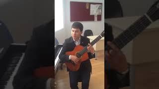 Turkmen gitara Mary 8