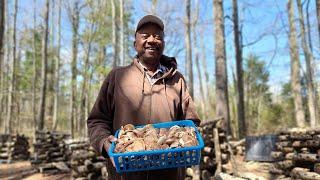 James Henderson | Henderson Natural Farm | Shiitake Mushrooms | Warren County North Carolina