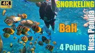 Bali Snorkeling | 4K Underwater Paradise | Nusa Penida | 4 Points | Indonesia