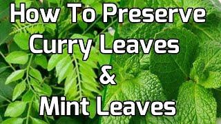 How to Preserve Curry Leaves and Mint Leaves for a Long Time| Curry leaves  Mint Leaves Preservation