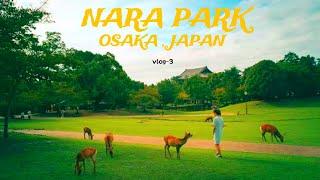 Japan Vlog : 3 | Nara Deer Park | Osaka Japan 2024