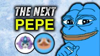 The Next PEPE is on SUI