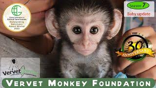 Baby update season seven the first 10 baby monkey arrivals