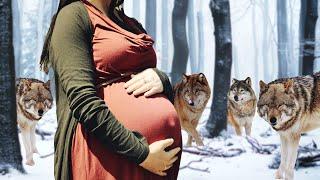 Wolfsrudel umzingelte eine schwangere Frau, was dann passierte ist unglaublich!