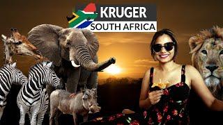 Journey into the Wild: Unforgettable Safari in Kruger National Park! 